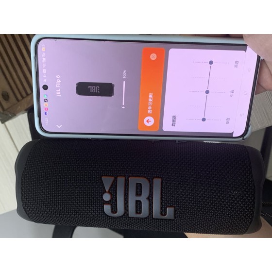 JBL flip6